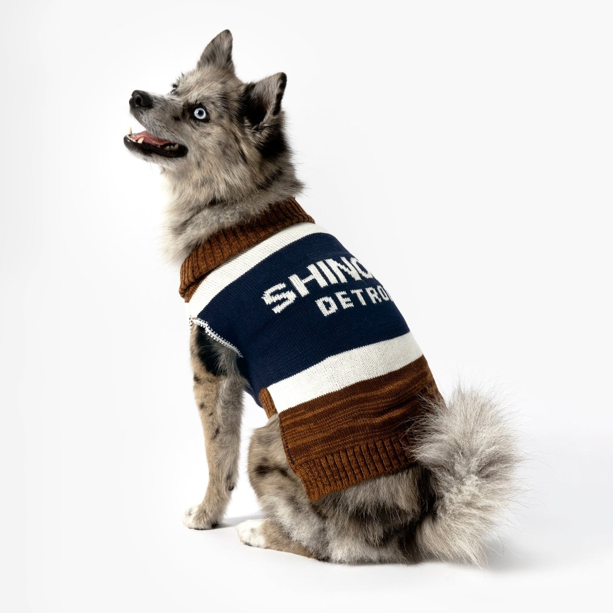 S0620268130_ShinolaPet_Sweater_BrandStripe_Rust_LIFESTYLE_01