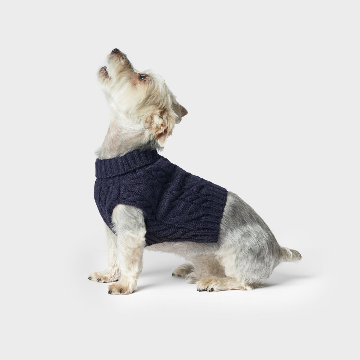 Shinola Cable Knit Pet Sweater - shinola, Sweaters, and
