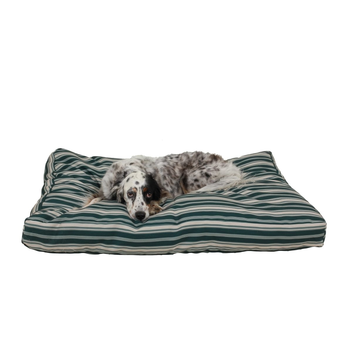 Striped Jamison Indoor Outdoor Dog Bed – Carolina Pet Co.