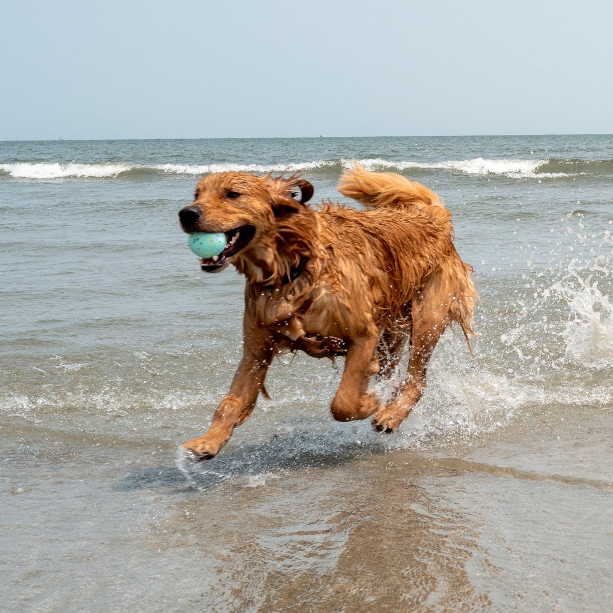 Sun & Sand Toy Bundle - black - friday - 2025, Body Glove, and Gift Bundle